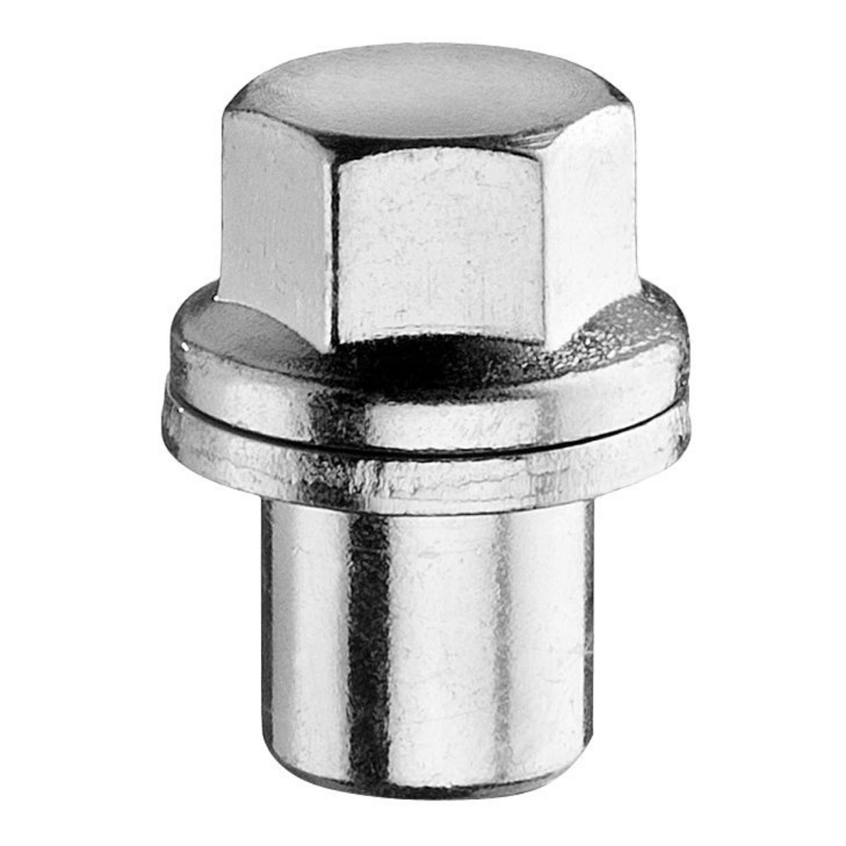 Caps BV19-000 Caps BV19-000